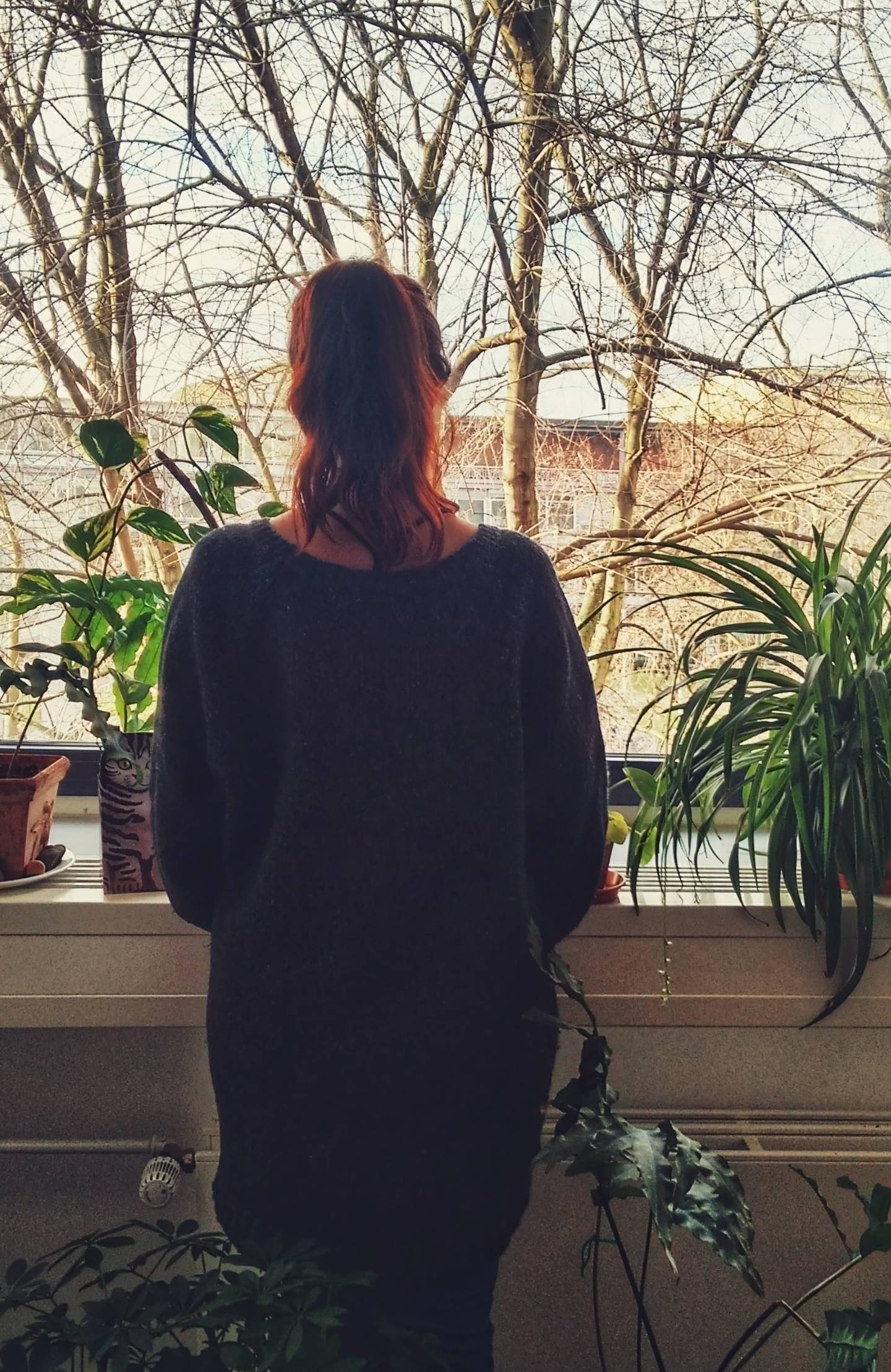 Eine wissenschaftliche Mitarbeiterin der Universität blickt aus einem Fenster in einem Raum mit vielen Pflanzen. Zu sehen sind ihr Rücken und ihre roten Haare.